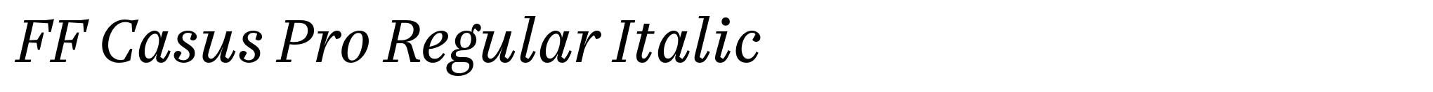 FF Casus Pro Regular Italic image